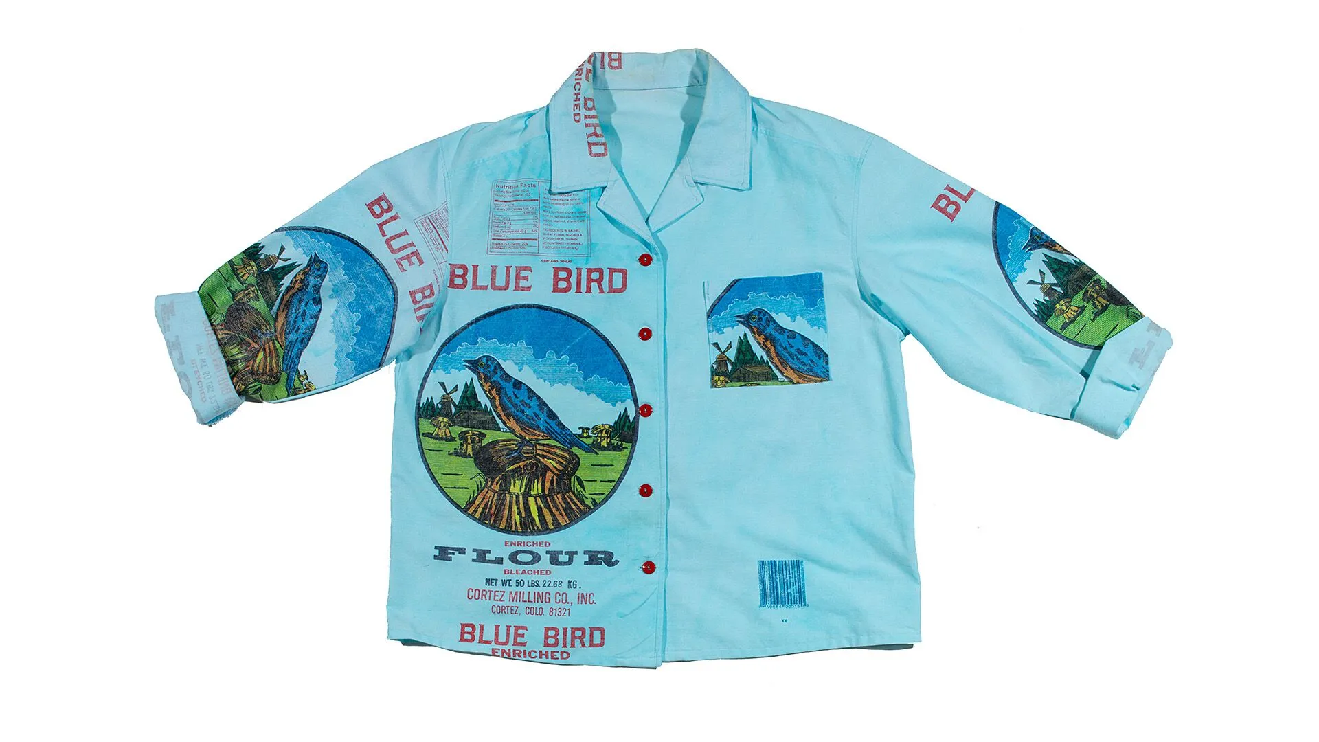 Blue Bird - Heard Museum