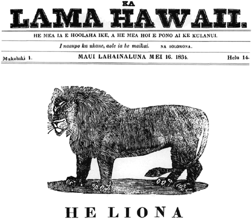 A sketch of the cover of Ka Lama Hawaii publication featuring a drawing of a lion.