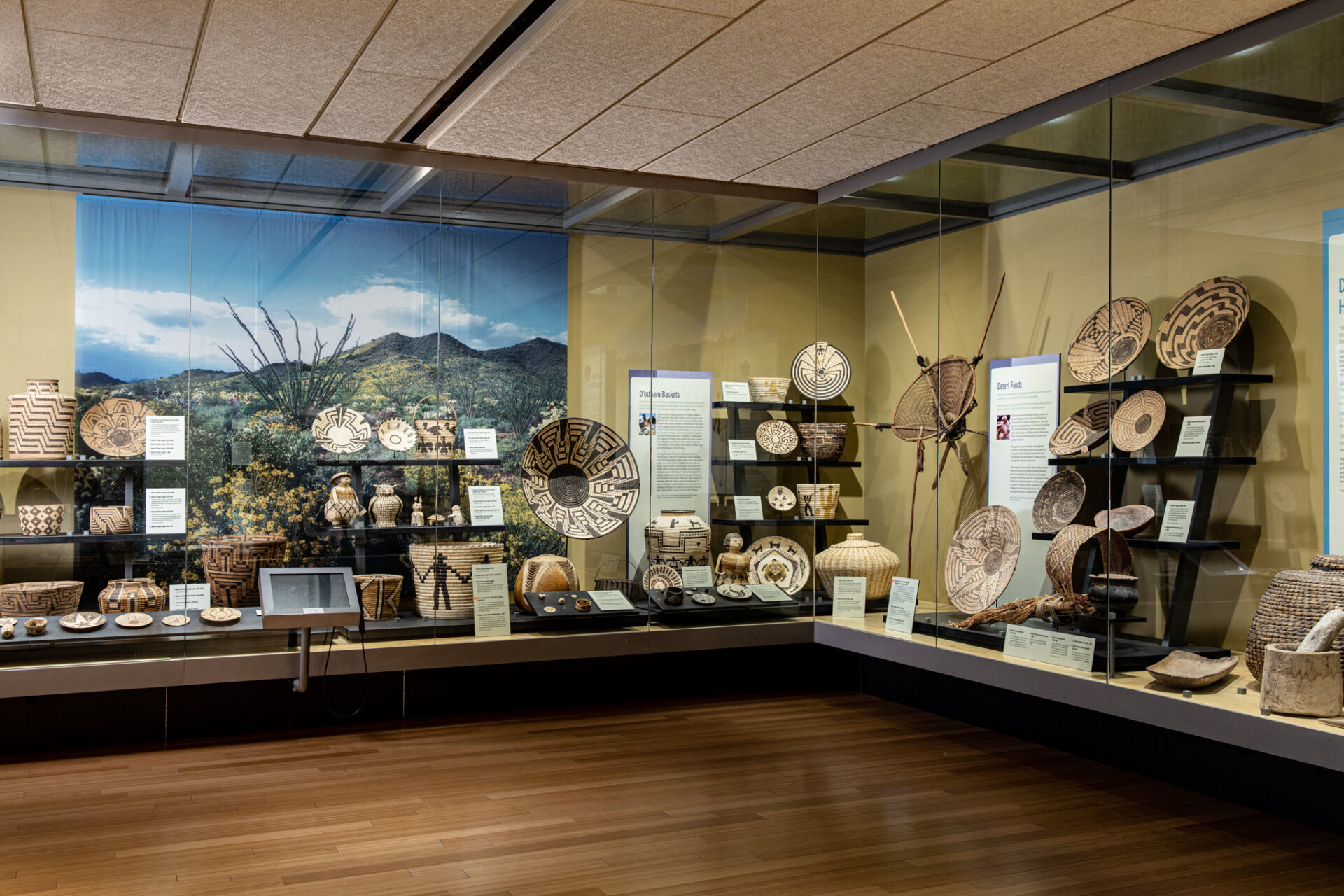 A cased display of baskets and pottery in a gallery.