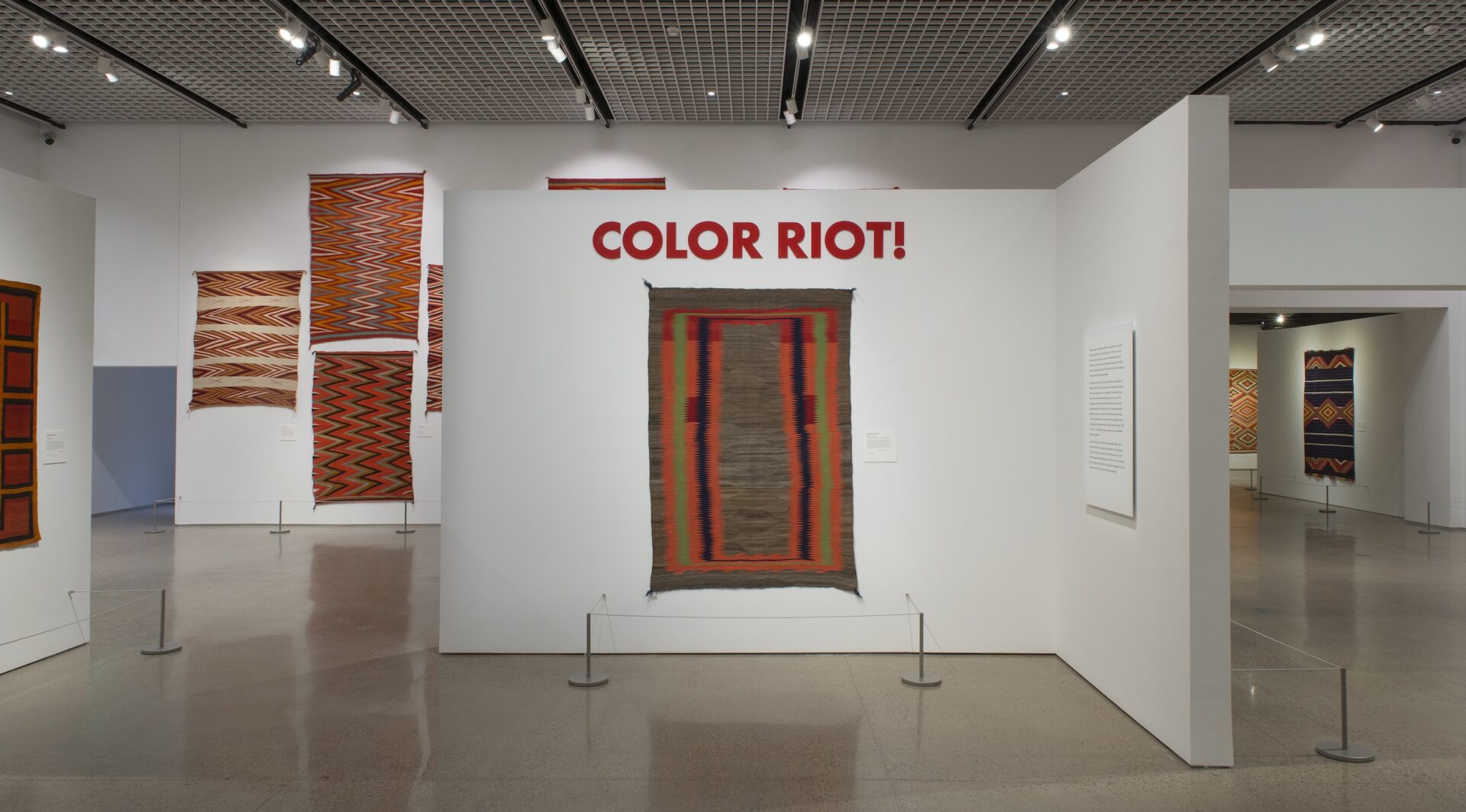 A wall with a colorful textile and text that says Color Riot in a gallery.