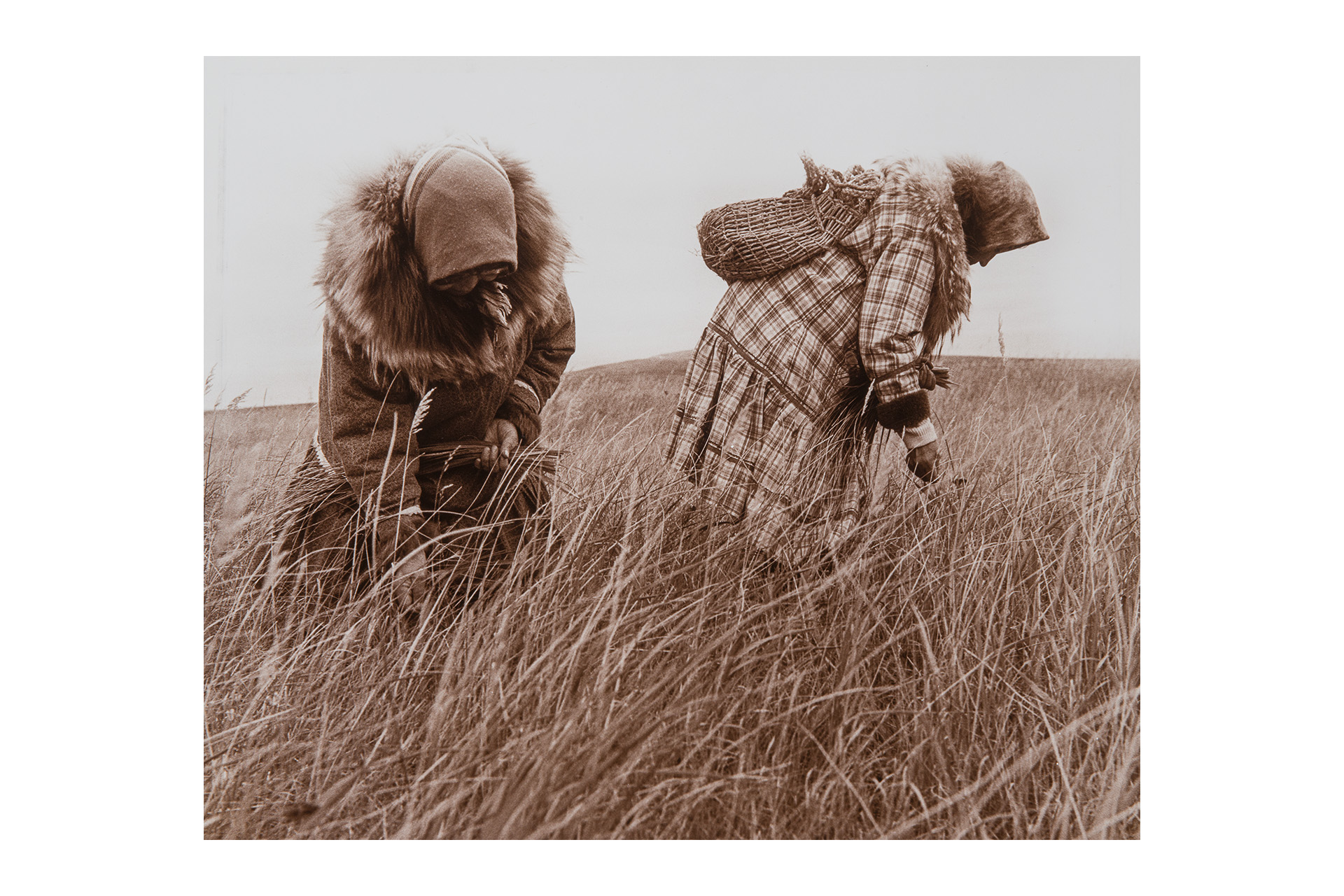 A sepia toned image of two people in a field with baskets looking down at the grass.