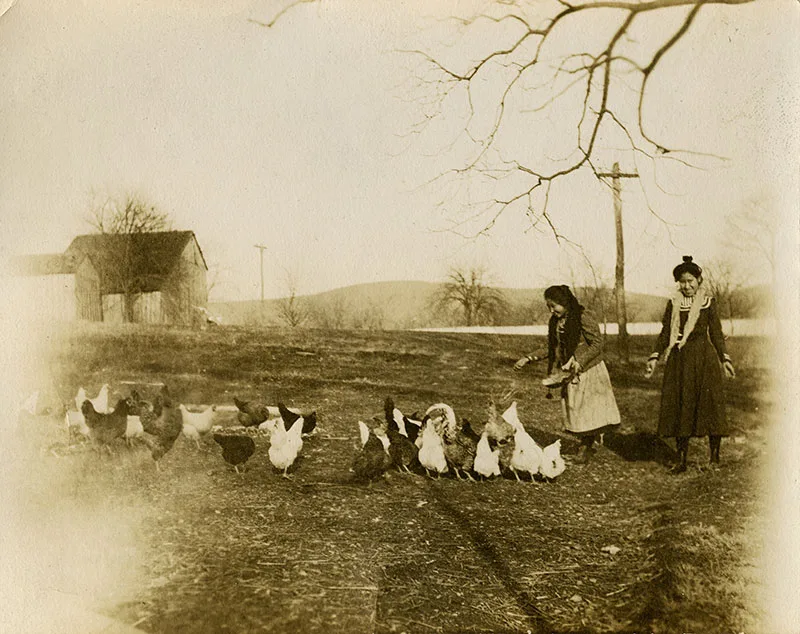 Black and white photo from early 1900s of 2 Native girls feeding chickens. One girl is recognized as Annie Coodlalook.