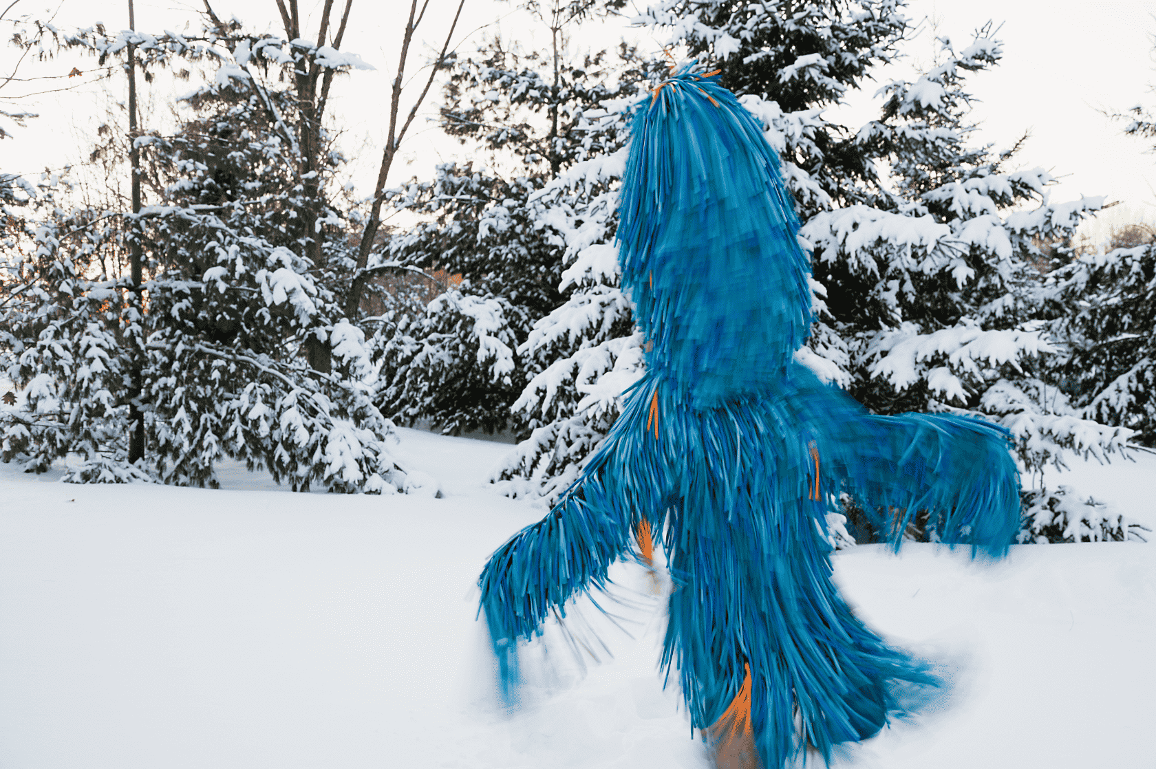 A person wearing a blue, fringed costume stands in a snowy forest with pine trees covered in snow.