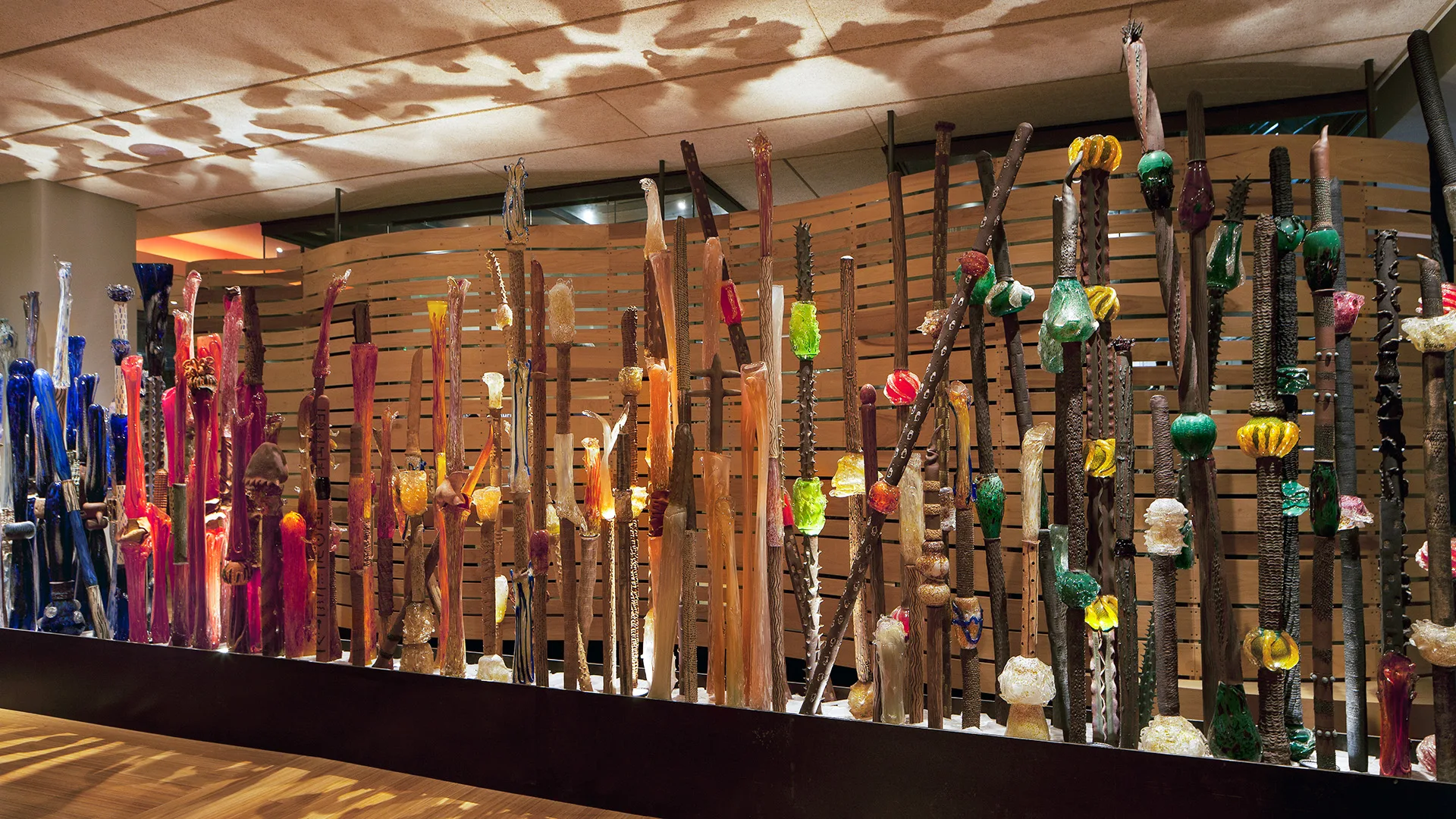 Indigenous Evolution AKA "Art Fence"